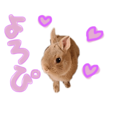 [LINEスタンプ] ラビっぴ