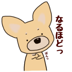 [LINEスタンプ] ちょうどいい犬のあいさつと相槌スタンプ