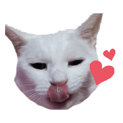 [LINEスタンプ] ミィ子ちゃん