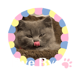 [LINEスタンプ] るいからの一言