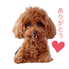 [LINEスタンプ] ココスタ❤️