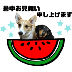 [LINEスタンプ] チロひな❤︎スタンプ 第二弾