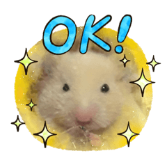 [LINEスタンプ] ふーちゃん激かわスタンプ