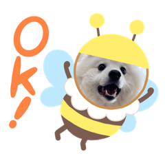 [LINEスタンプ] 日本スピッツ☆ぱるたん☆