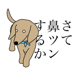 [LINEスタンプ] かわいいくうこ