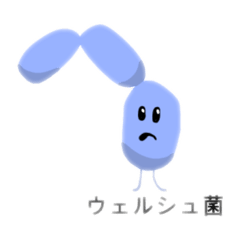[LINEスタンプ] 腸内細菌たちのスタンプ