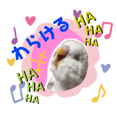 [LINEスタンプ] もんざえもんワールド