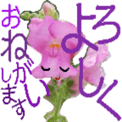 [LINEスタンプ] 花ハム敬語