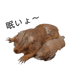 [LINEスタンプ] プレーリードッグ J2