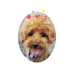 [LINEスタンプ] O次郎スタンプ1