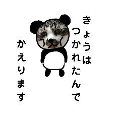 [LINEスタンプ] お仕事で、使えるパンダひかる