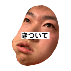[LINEスタンプ] ポインポ