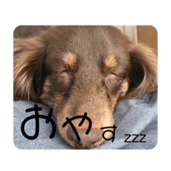 [LINEスタンプ] マロ'sスタンプ