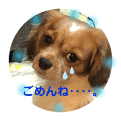 [LINEスタンプ] ワンだふる^_^ スタンプ