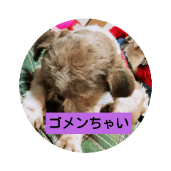 [LINEスタンプ] ブラン君のスタンプ