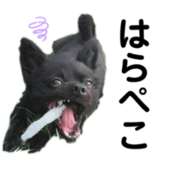 [LINEスタンプ] おまめちゃん3！！！