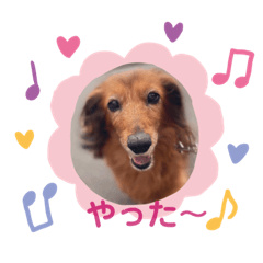 [LINEスタンプ] メロディのkawaiiスタンプ