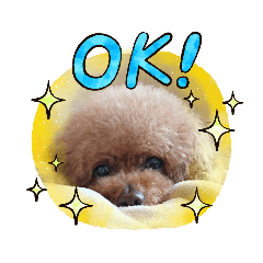 [LINEスタンプ] みるたんたん1