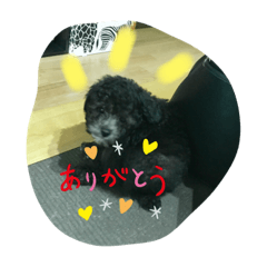 [LINEスタンプ] moka❤︎