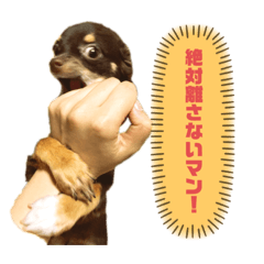 [LINEスタンプ] KONA♂ver.1