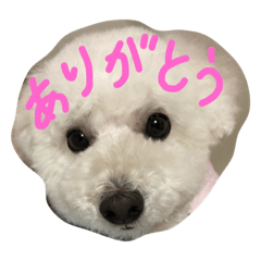 [LINEスタンプ] ぽてと、ぷりん