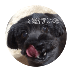 [LINEスタンプ] くぅぽんももこたろう