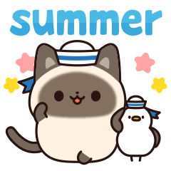 [LINEスタンプ] 毎日使えるシャム猫スタンプ 夏ver.の画像（メイン）