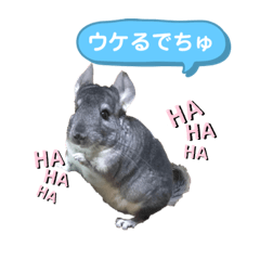 [LINEスタンプ] ポコの日常会話2