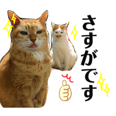 [LINEスタンプ] あるとおから