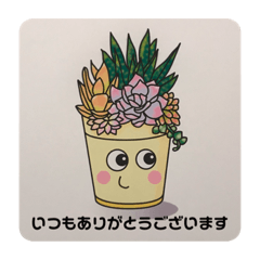 [LINEスタンプ] moon junior の 多肉植物と植木鉢