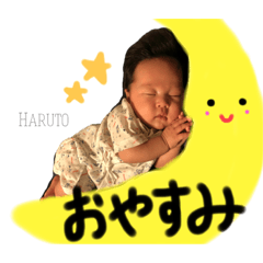 [LINEスタンプ] 山本さん家の陽斗くん