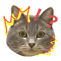 [LINEスタンプ] イシイのニャーさん2