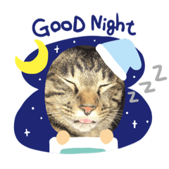 [LINEスタンプ] うちの(*ΦωΦ*)スタンプ