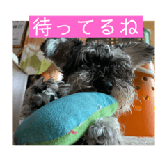 [LINEスタンプ] わんちゃんちゃんわん