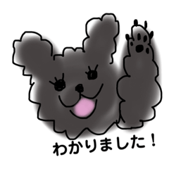 [LINEスタンプ] くろいろのトイプーライラさん