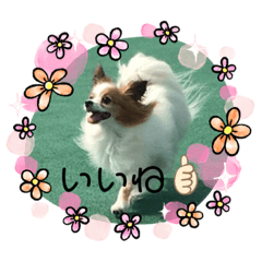 [LINEスタンプ] ピーモースタンプ