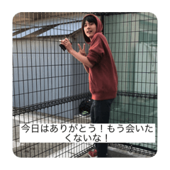 [LINEスタンプ] YAMANES LIFE 実用編！！！