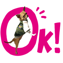 [LINEスタンプ] チワワのちー！
