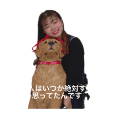 [LINEスタンプ] れいちぇるが喜ぶスタンプ