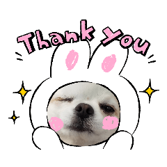 [LINEスタンプ] くれああんどゆず