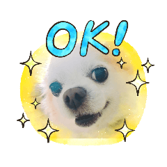 [LINEスタンプ] 愛しのいちろう