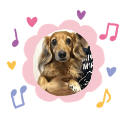 [LINEスタンプ] ちょこみる