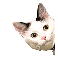 [LINEスタンプ] パフすたんぷ