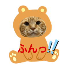 [LINEスタンプ] 我が家にゃん3