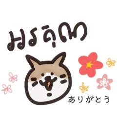 [LINEスタンプ] カンボジア語でお話ししよう