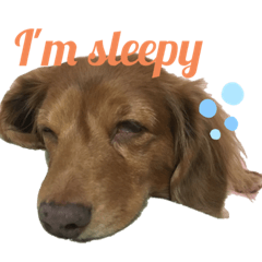 [LINEスタンプ] ぷーちょこみるひめ2