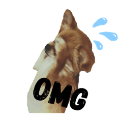 [LINEスタンプ] 愛犬チワワのゆず