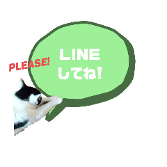 [LINEスタンプ] 猫のプッチとみかん7