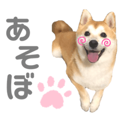 [LINEスタンプ] そいそいっ