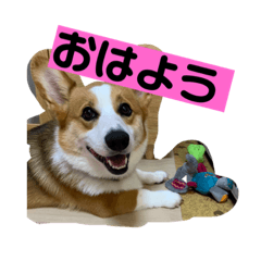 [LINEスタンプ] キースのスタンプ2